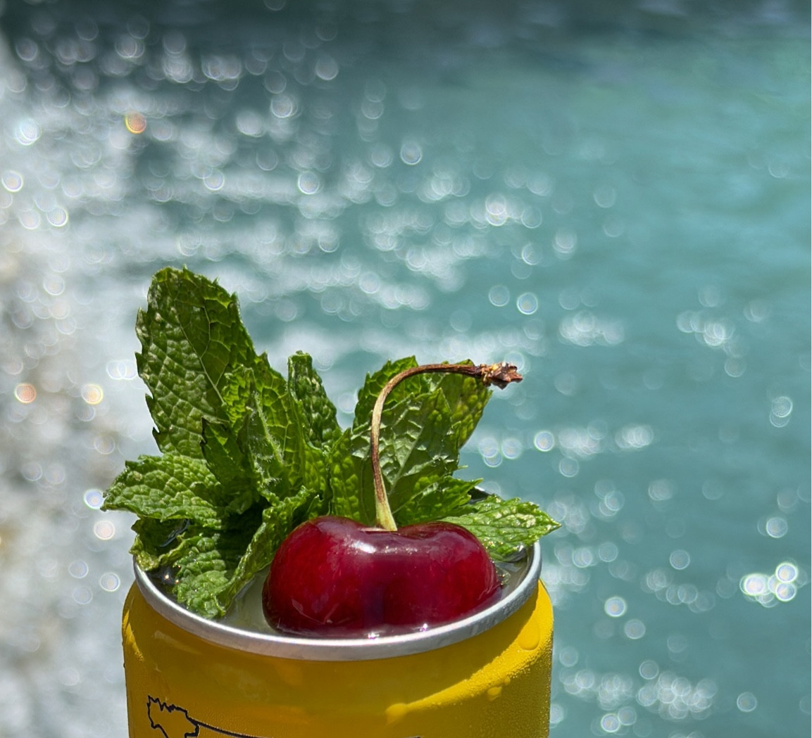 4th of July last minute hosting!