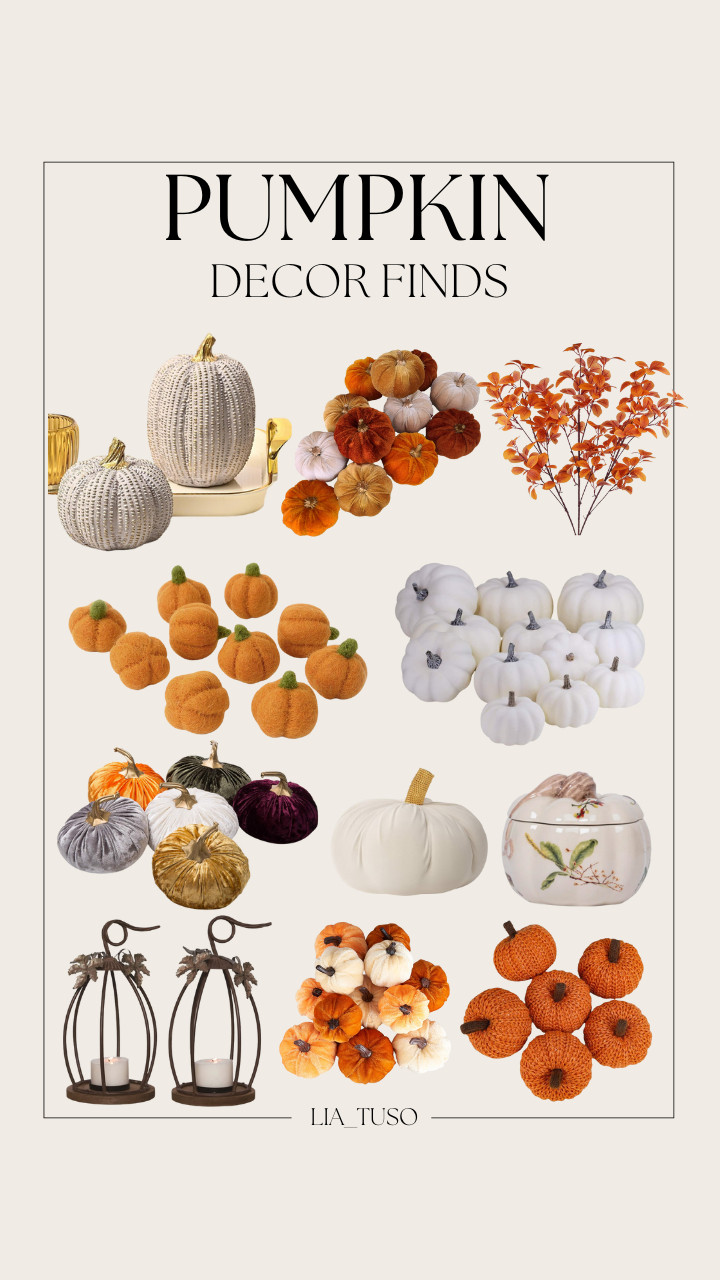 Pumpkin Decor Finds || Set of 6 Pack Handmade Velvet Pumpkins Decor || Fall Pumpkin Decor || Set of 12 Small Faux Fall Harvest Velvet Pumpkins || Assorted Sizes Rustic Harvest White Artificial Pumpkins || Glaciart One Felt Pumpkins || Shaped Velvet Pumpkin Throw Pillow || XL Patina Ceramic Pumpkin Figurine Black || 3 Pcs Artificial Fall Leaves 

#PumpkinDecor #FallPumpkin 

 #LTKSeasonal #LTKHome