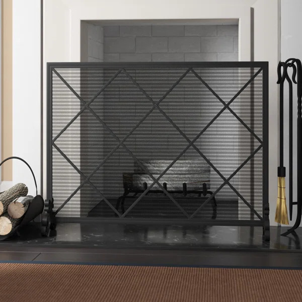Tepper Iron Fireplace Screen | Wayfair North America