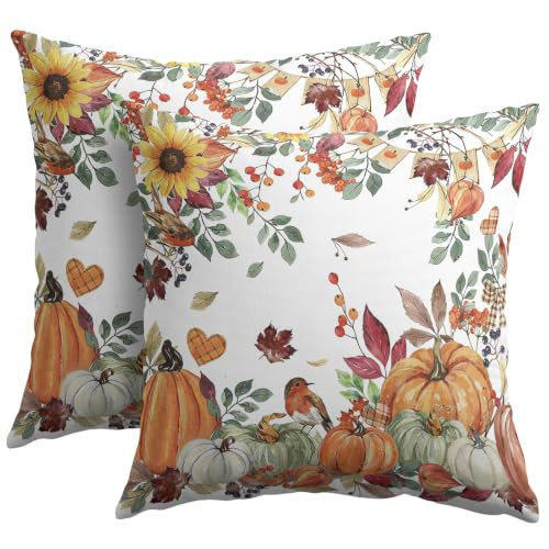 Fall Pumpkin Pillow Covers 18x18 Set of 2 Autumn Caramel Maple Leaves Bird Floral Outdoor Throw Pillows Covers Thanksgiving Harvest Decorative Farmhouse Cushion Case for Living Room Couch Sofa | Amazon (US)