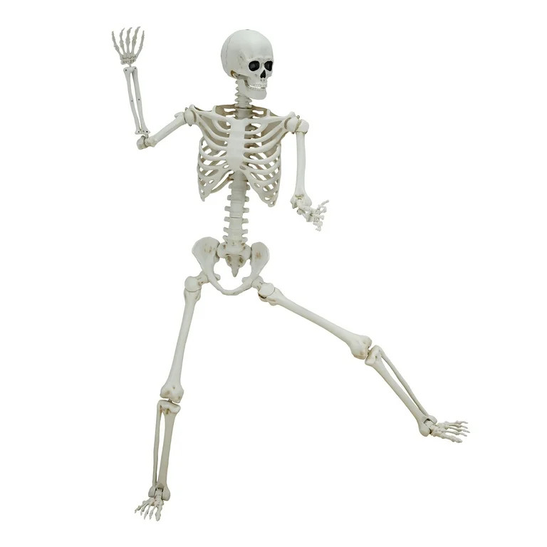 5ft White Poseable Skeleton Decoration, Halloween Outdoor Decor, by Way To Celebrate | Walmart (US)