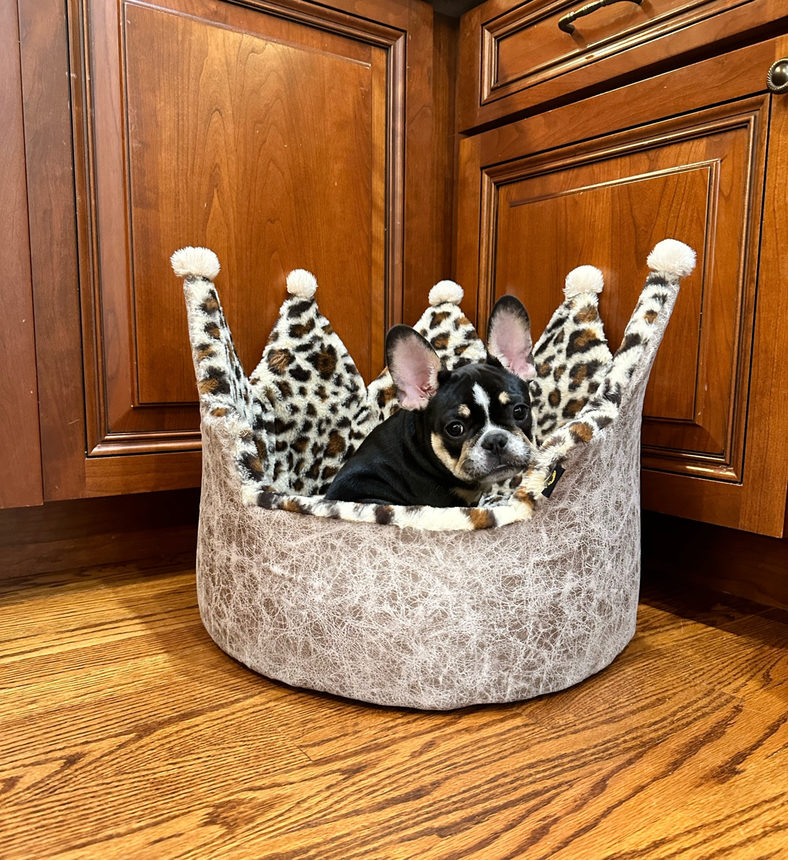 a bed fit for a princess 🐶 👑 

#LTKfamily #LTKsalealert #LTKhome