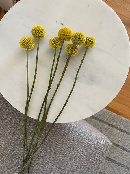 Dry flowers are great for a spring refresh. These billy buttons are such a fun color! 💛

Modern decor loving room outdoor patio


#LTKFind #LTKSeasonal #LTKunder50