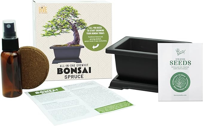 BUZZY Seeds Bonsai Starter Kit, Norway Spruce, Complete Indoor Gardening Gift, DIY Mini Tree Proj... | Amazon (US)