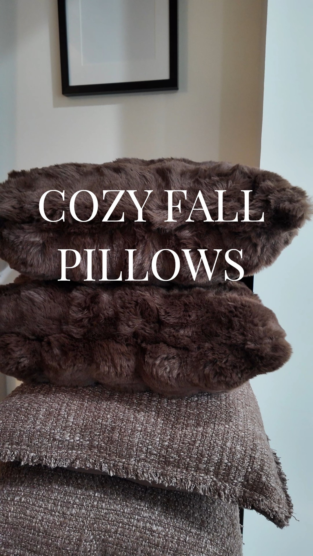 The coziest pillows in chocolate tones 🤎🍂

#LTKSeasonal #LTKFindsUnder50 #LTKHome