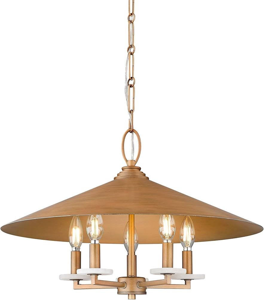 Z-Lite 1953-22 Rialto 5 Light 22" Wide Pendant - Signature Gold | Amazon (US)