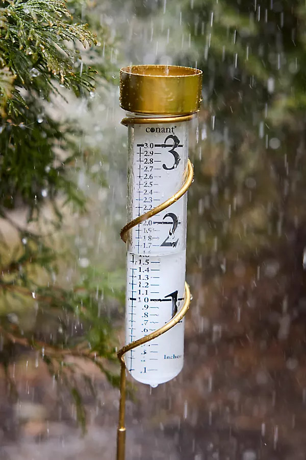 Brass Rain Gauge in Gold, Size: 15" at Terrain | Terrain