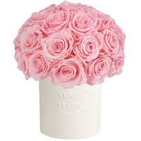 Porcelain Collection - Fleura Vase with Eternity Roses | Venus ET Fleur