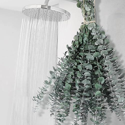 12 PCS Dried Eucalyptus Stems for Shower - 17" Preserved Eucalyptus Stems Shower Plant, Fresh Real Eucalyptus Leaves for Shower Hanging, Artificial Plants Arrangement, Home Decor, Dried Flowers | Amazon (US)