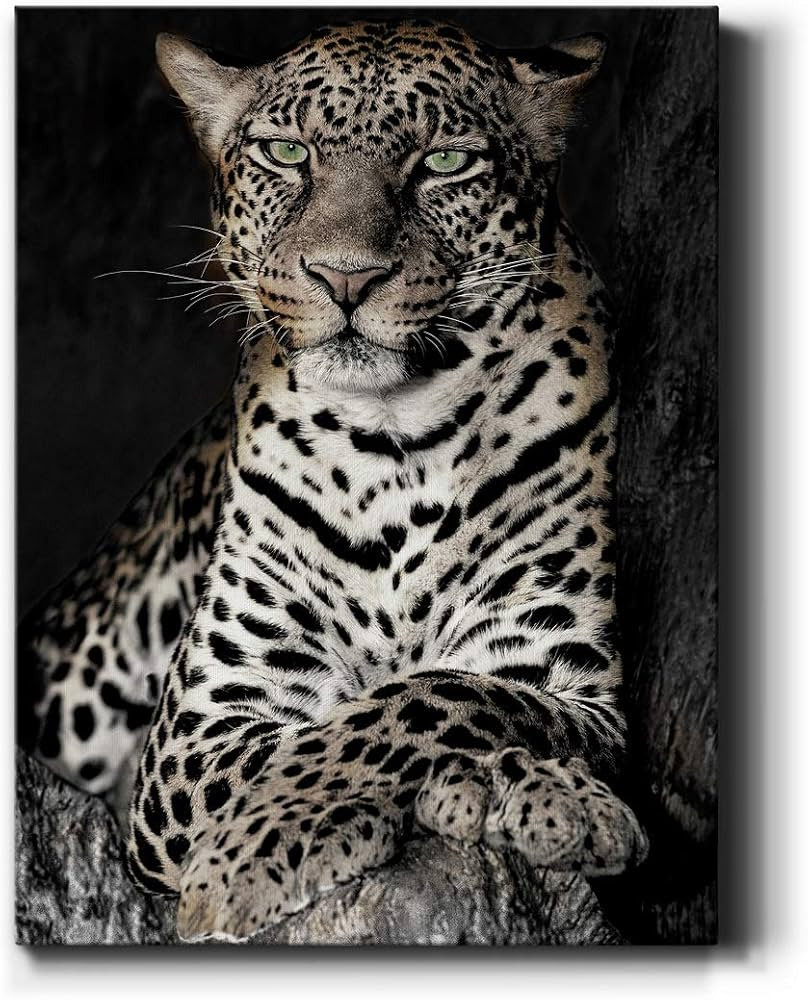 Renditions Gallery African Leopard Wall Art, Premium Gallery Wrapped Canvas Decor, Ready to Hang,... | Amazon (US)