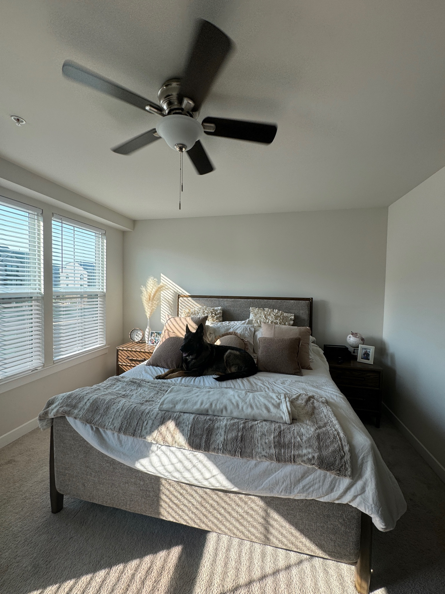 woody bedroom inspo 🪵🤎

#LTKHome #LTKSaleAlert #LTKFindsUnder100