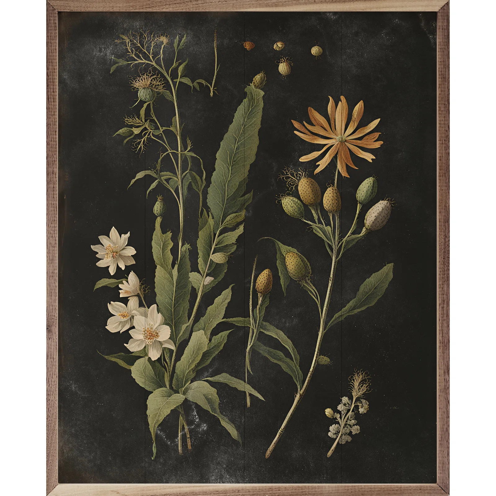 Winston Porter Vintage Cream Floral Print Black Framed On Wood Print & Reviews | Wayfair | Wayfair North America