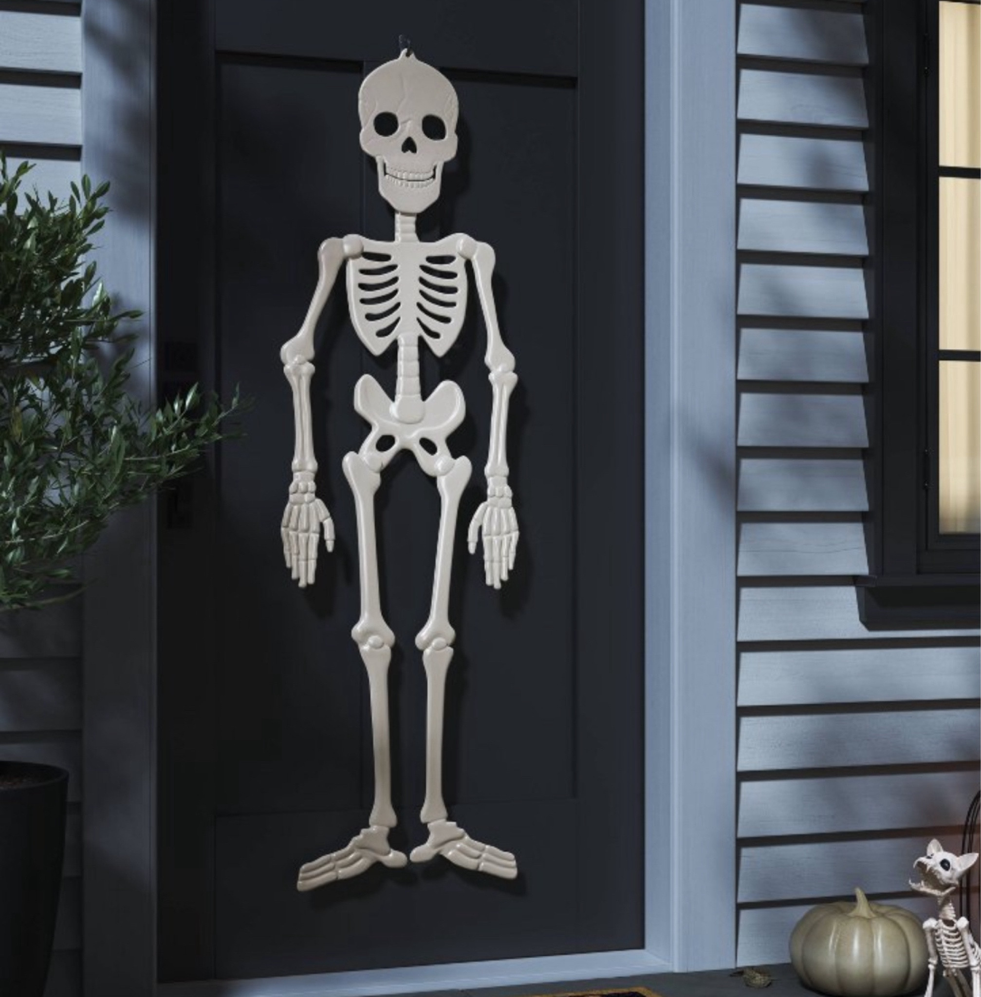 The $10 skelly is back! 