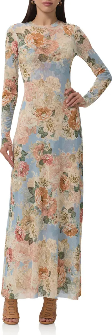 Paola Floral Print Long Sleeve Dress | Nordstrom
