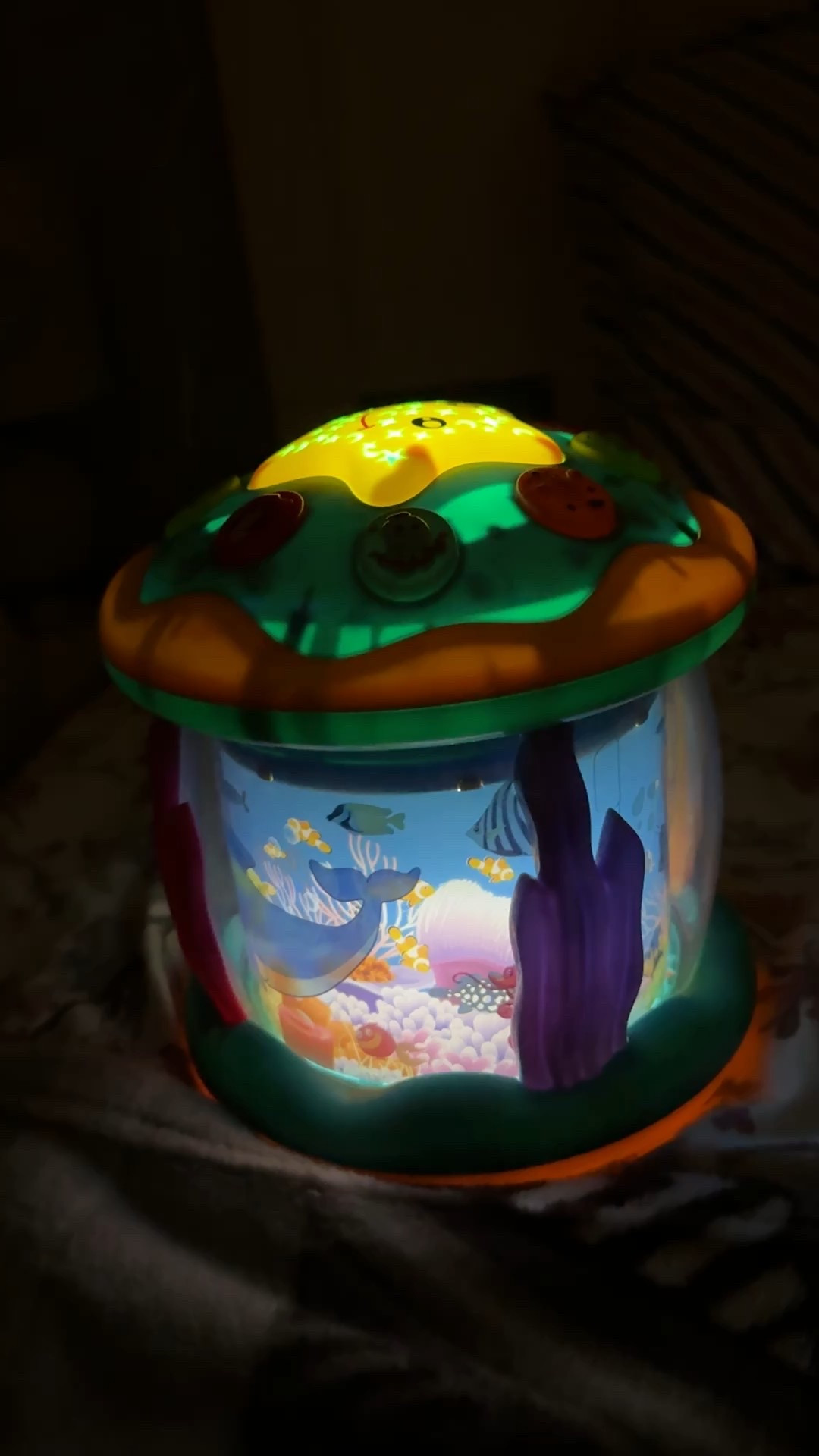 Baby musical toy, tummy time, ocean rotating toy

#LTKBump #LTKFindsUnder50 #LTKBaby