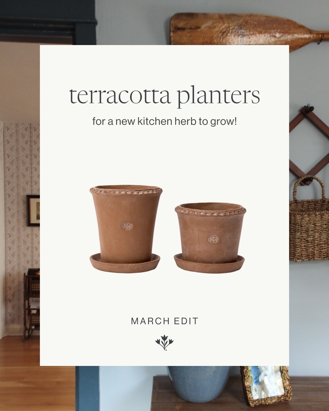 Spring planters I love 

#LTKSeasonal #LTKHome #LTKSpringSale