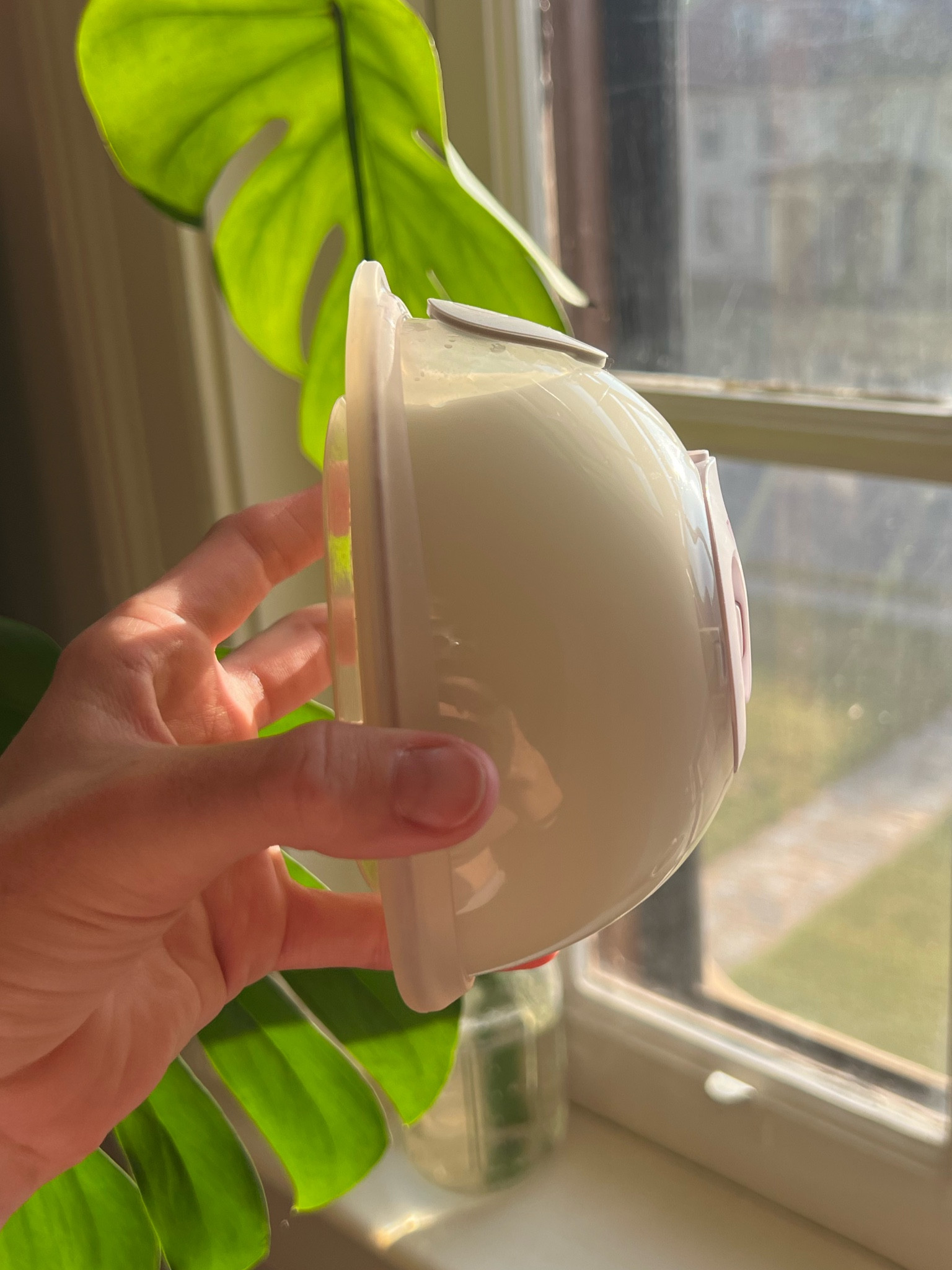 Honestly, this pump has been such a game changer for me. Being able to move around, chase my toddler, or just sit without being stuck to the wall feels so freeing. It’s comfortable, super easy to clean, and quiet enough that I can pump during nap time without waking anyone up. If you’ve been feeling overwhelmed with pumping, this takes so much of the stress out of it. Hands-free really does make a difference. 🤍

#pumpingmom #breastfeeding 