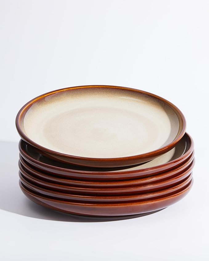 10 Inch Dinner Plates Set of 6, Stoneware Round Salad Dessert Plates, Serving Plates, Microwave &... | Amazon (US)