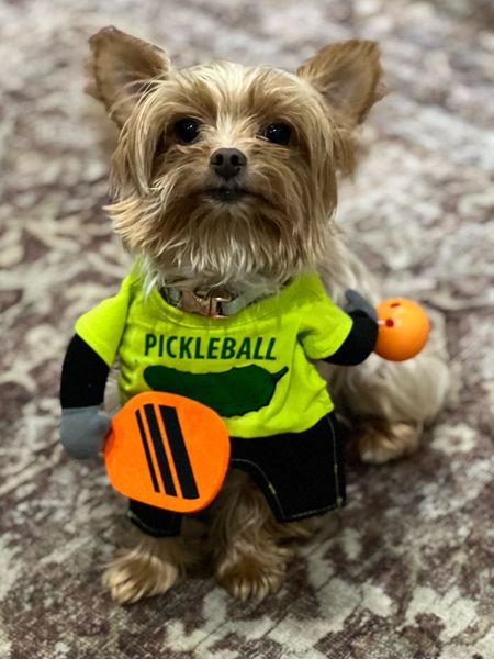 Huey’s pickle ball Halloween costume. 

4 lbs wearing the XS



#LTKHoliday #LTKparties #LTKHalloween