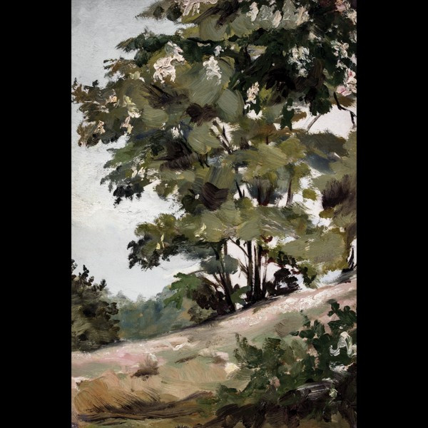 LAUREL | Juniper Print Shop