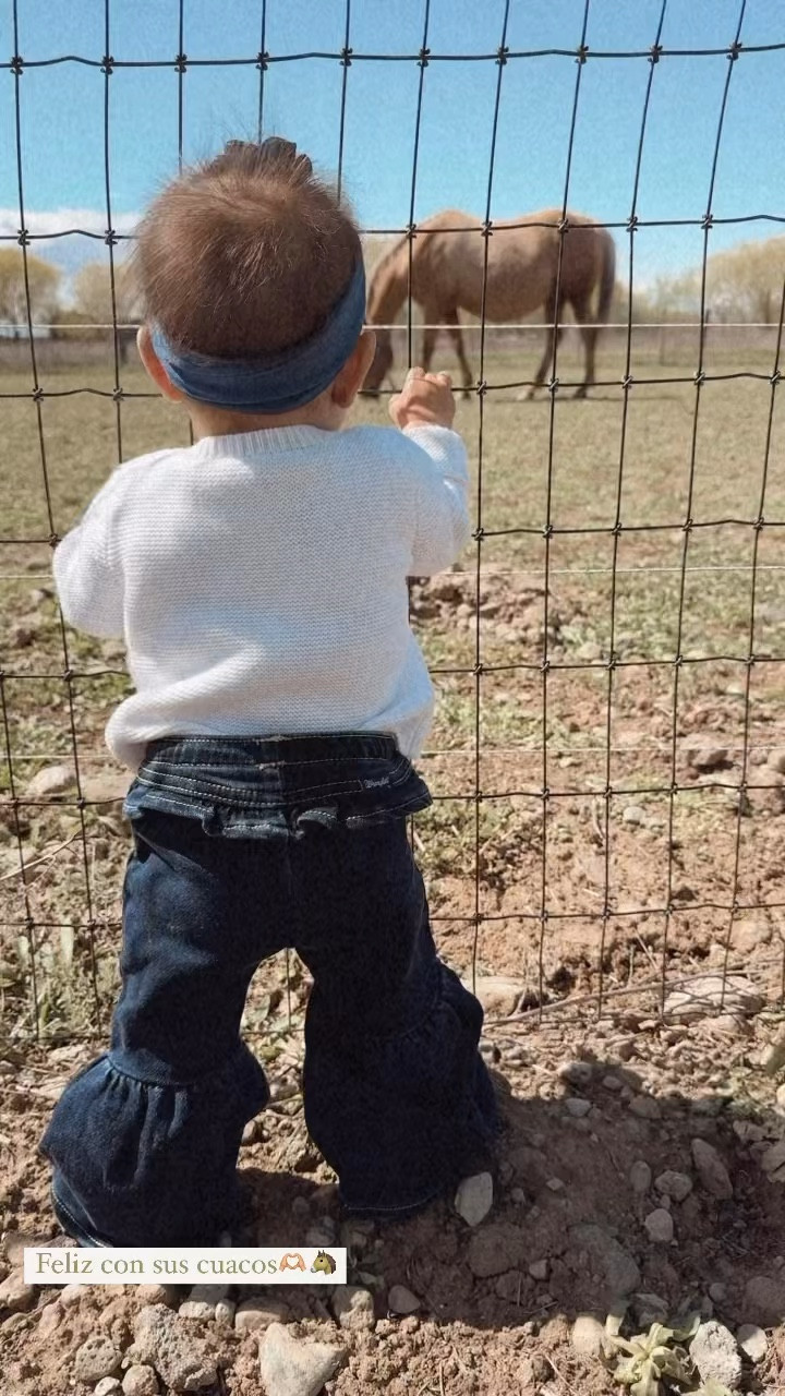 My little cowgirl admiring her horses🫶🏼

#LTKfamily #LTKkids #LTKbaby