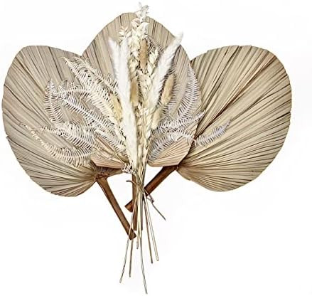 Dried Palm Leaves | Large Palm Leaves 18" with Boho Dried Flowers | Palm Leaves Decor Bouquet | Natu | Amazon (US)