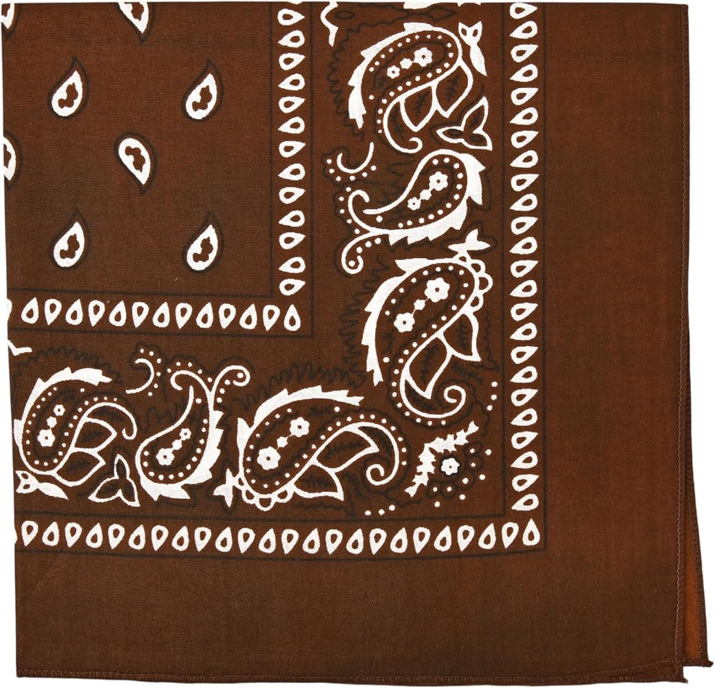 Motique Accessories 22 Inch Cotton Paisley Bandana | Amazon (US)