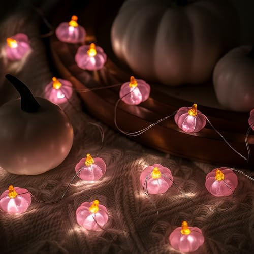 Glooglitter 2 Pcs Pink Pumpkin Lights String Pink Fall Thanksgiving Decoration 6.5 ft Lights String Baby Shower Decorations for Thanksgiving Halloween Indoor Window Tree Yard Porch Door Decor | Amazon (US)