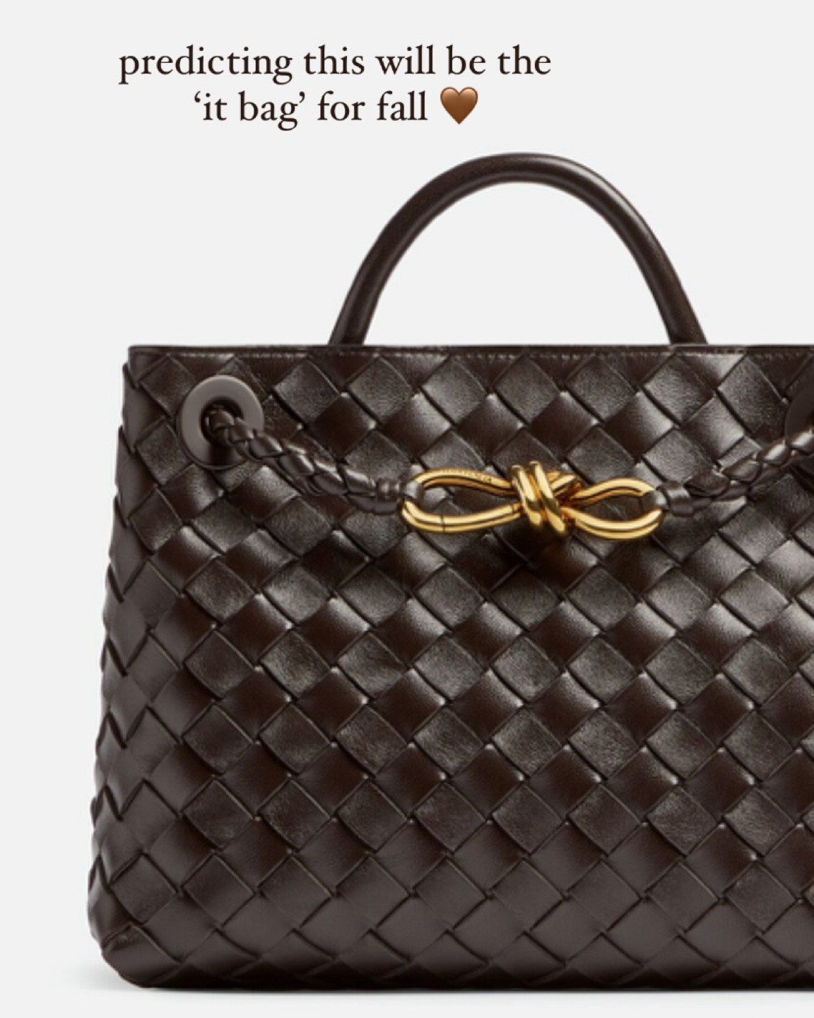 Bottega Veneta Andiamo top handle bag is about to be ¡everywhere! 
it’s the perfect fall bag 🤎



#LTKGiftGuide #LTKitbag #LTKHoliday