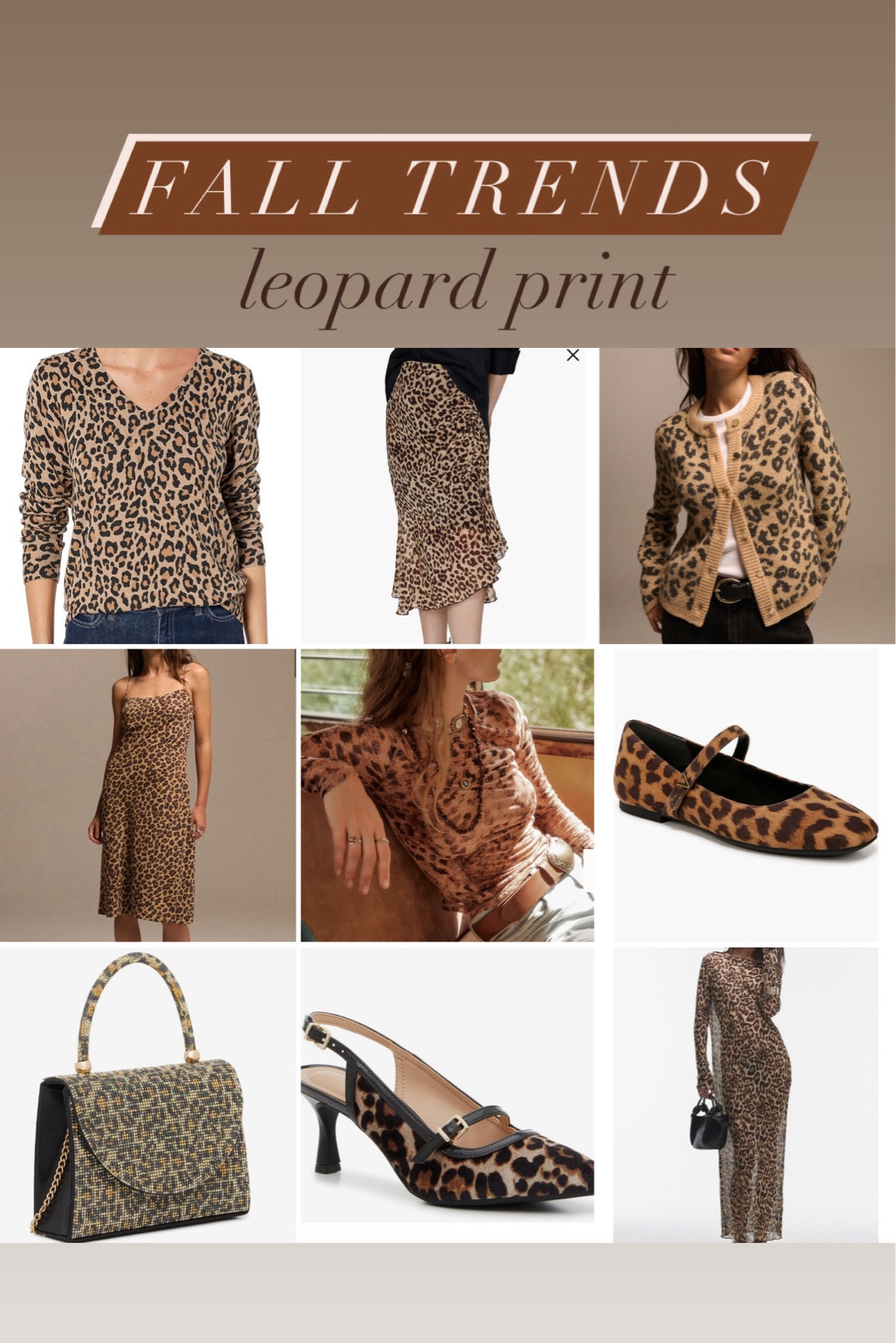 Leopard print top, dress, cardigan, shoes, bag 

#LTKSeasonal #LTKStyleTip