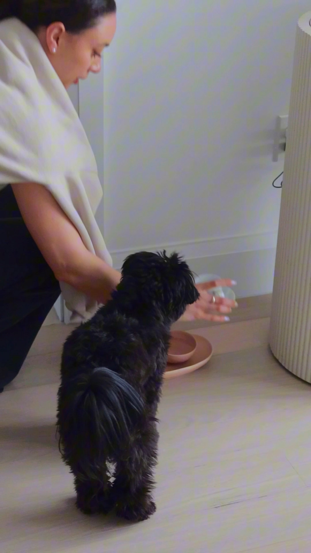 Brooklyn James’ breakfast routine!
Saving all of her puppy food, wellness supplements, and morning latte supplies here🫶🏽

#LTKPets