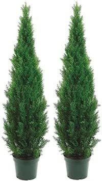 Two 5 Foot Outdoor Artificial Cedar Topiary Trees Potted Plants Two Peace Construction | Amazon (US)