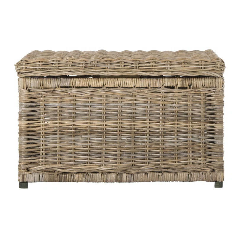 Emerson Wicker Trunk | Wayfair North America