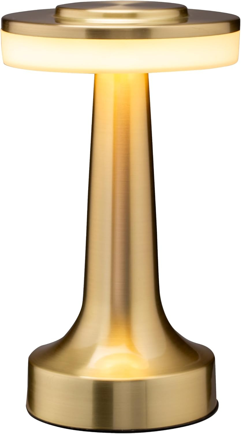 O’Bright Portable LED Table Lamp with Touch Sensor, 3-Levels Brightness, Rechargeable Battery U... | Amazon (US)