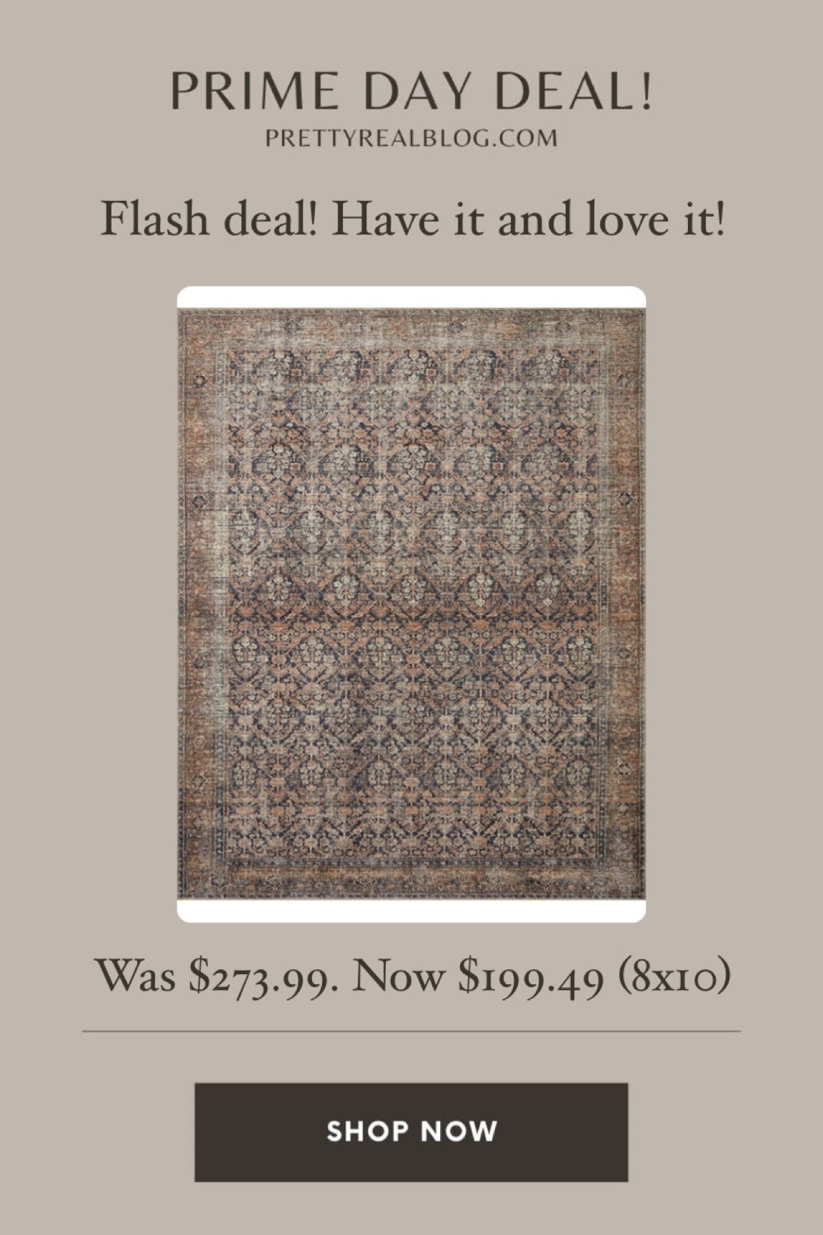 Love this pink and navy vintage inspired amber Lewis x Loloi rug! Prime flash deal. Under $200 for the 8x10! 

#LTKhome #LTKsalealert