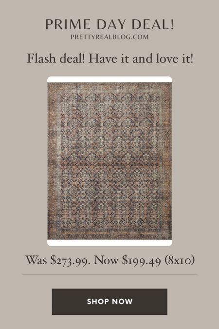 Love this pink and navy vintage inspired amber Lewis x Loloi rug! Prime flash deal. Under $200 for the 8x10! 

#LTKhome #LTKsalealert