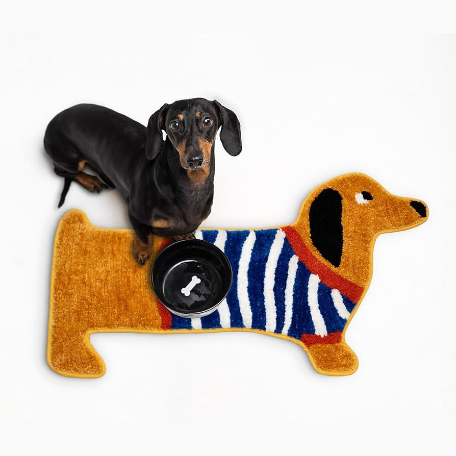 Dachshund Rug - Funny Rug - Weiner Dog Floor Mat - 35" x 20" - Machine Washable Water Absorbent N... | Amazon (US)