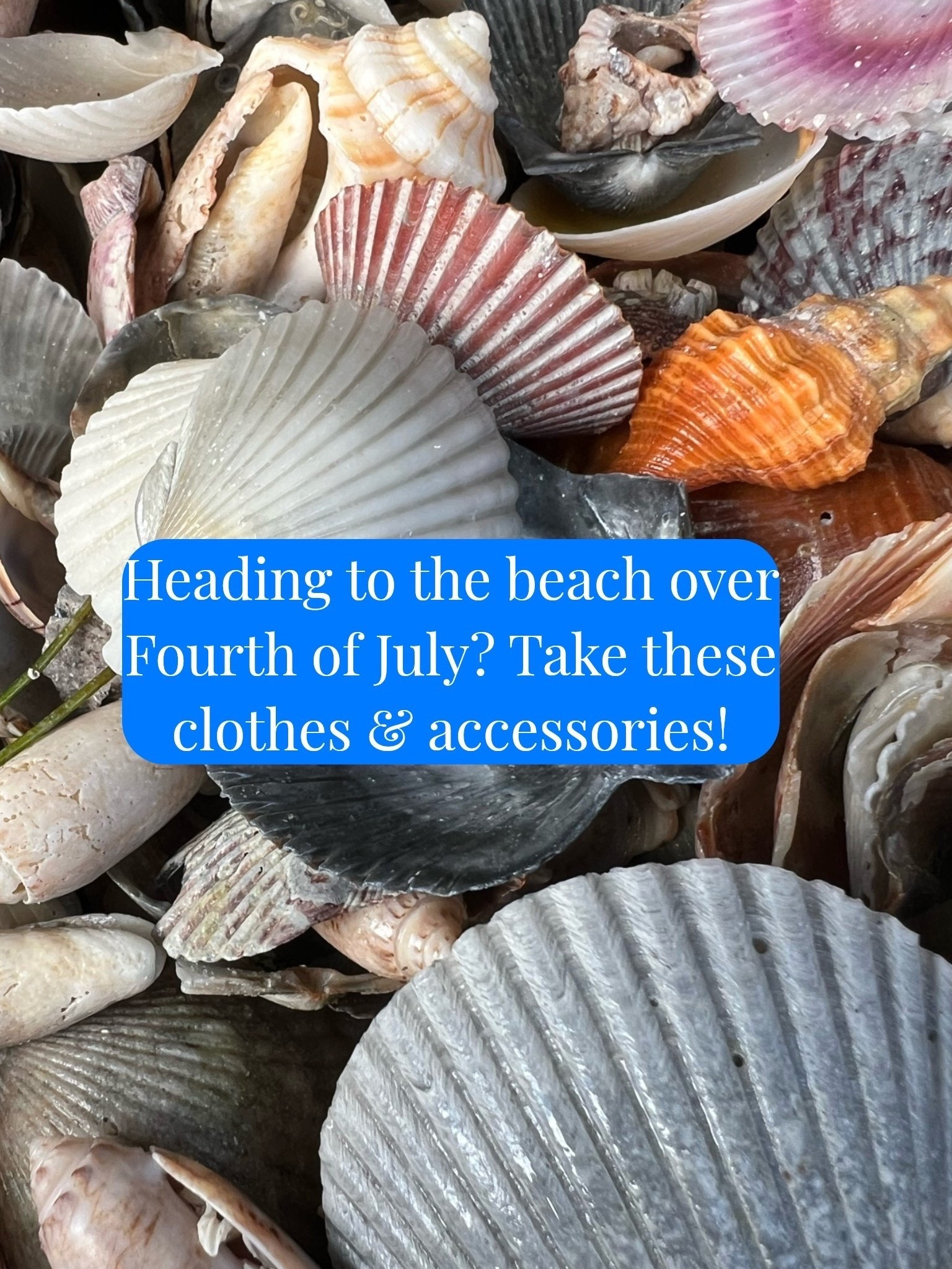 Heading to the beach over Fourth of July? Take these clothes and accessories with you!

#LTKSeasonal #LTKOver40 #LTKSaleAlert #LTKTravel #LTKgrwm #LTKootd #LTKMidsize #LTKSwim