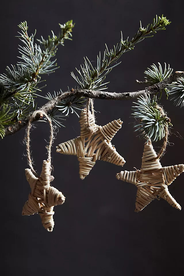 Vine Star Ornaments, Set of 40 | Anthropologie (US)