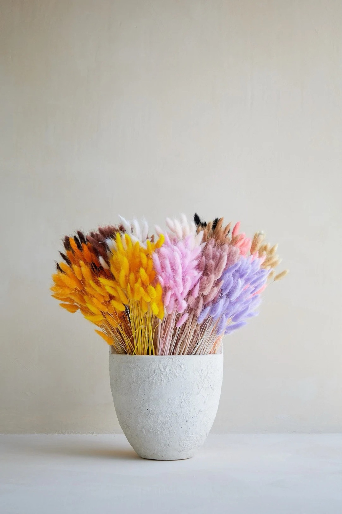 Add a soft, whimsical touch to your space with this handpicked bunny tails bunch, thoughtfully gathered stem by stem for a full, mini bouquet look. With its fluffy texture and wide range of color options—from neutrals to bold hues—it’s perfect for styling in a vase, layering into arrangements, or gifting on its own. Long-lasting and effortlessly beautiful, this bunch brings cozy charm and versatility to any decor style. #ltkhome #ltkdecor #driedflowers #bunnytails #bohodecor #homestyling #neutraldecor #cozyhome #sustainabledecor

#LTKSeasonal #LTKHome #LTKWedding