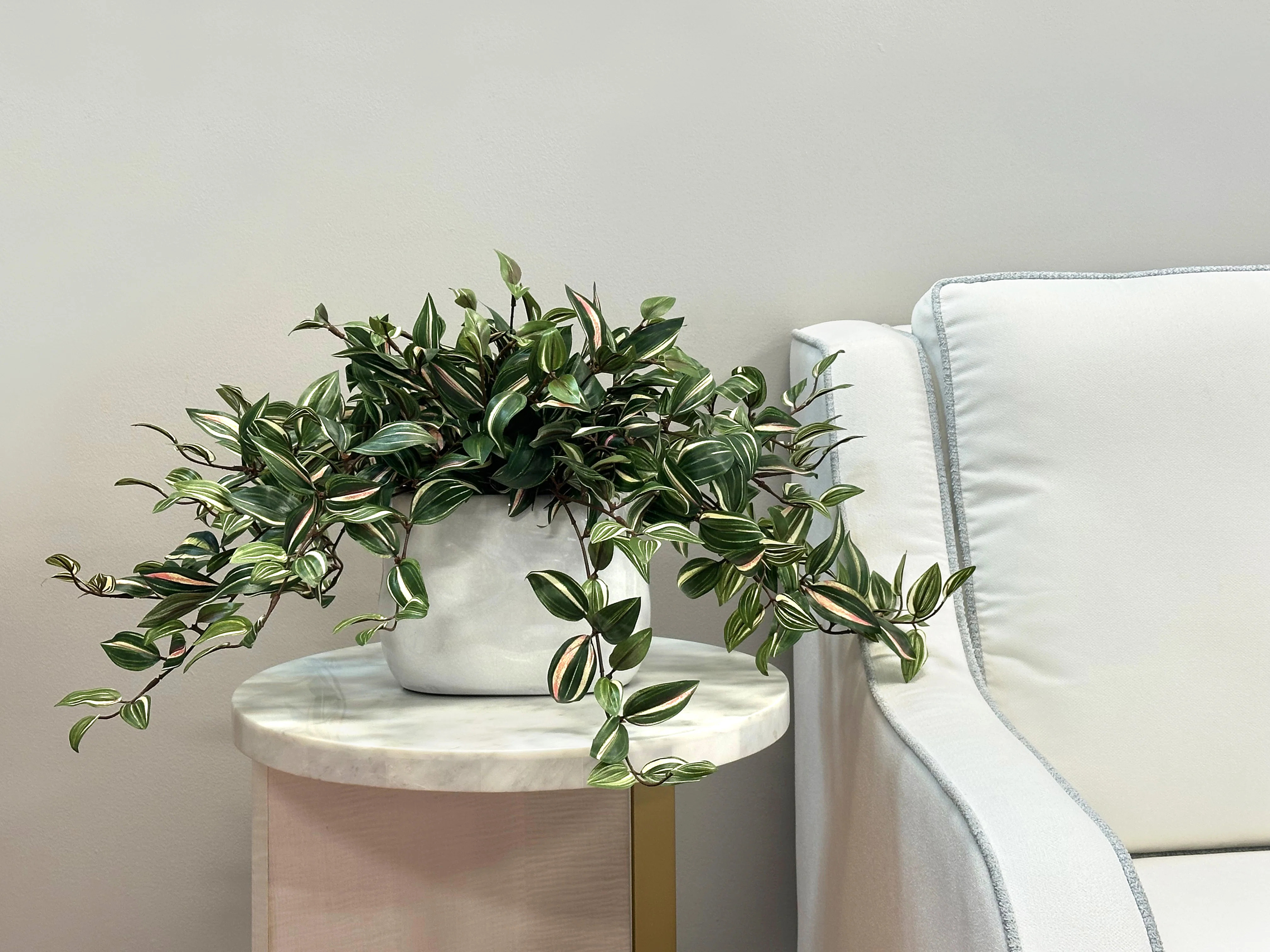 Freeport Park® Karas Faux Tradescantia Plant in Ceramic Vase & Reviews | Wayfair | Wayfair North America