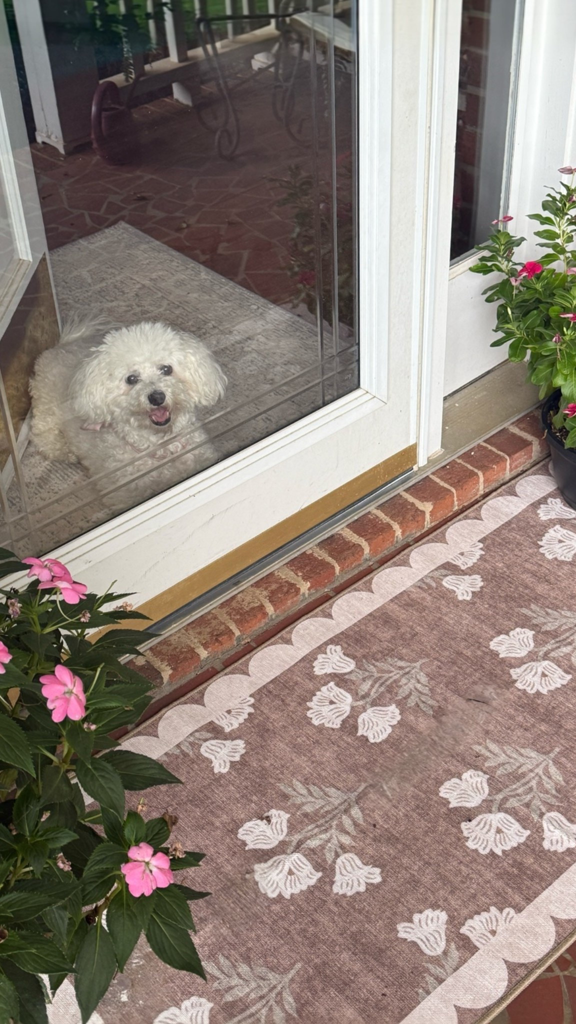 New Amazon doormat!

#LTKSeasonal #LTKHome