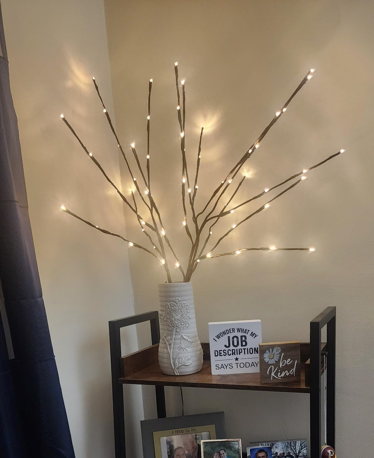 PEIDUO Lighted Willow Branches 30Inch 120 LED Twig Lights, 6PK Tree Branch Pathway Light for Holiday Xmas Decorations Indoor Outdoor Stake Lights | Amazon (US)