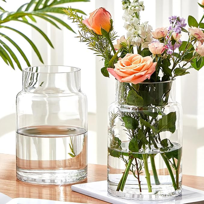 2 Pcs 9 Inch Large Glass Vase for Bouquet Wide Mouth Vase for Centerpieces Large vase for Flowers... | Amazon (US)