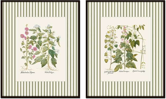Belle Maison Art Herb Botanicals Green Stripes, Vintage Botanical Wall Art, Bedroom Kitchen Livin... | Amazon (US)