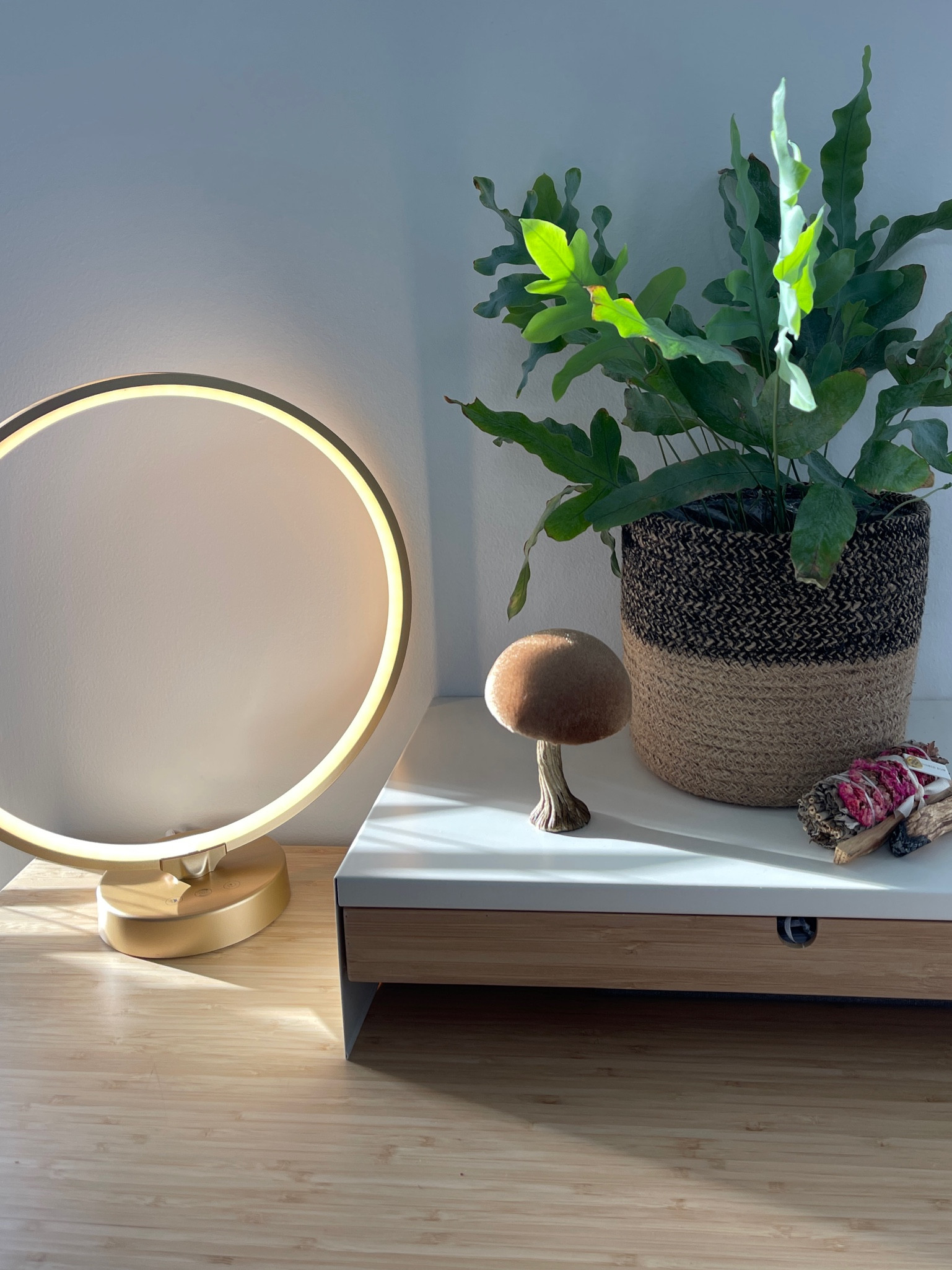 maybe a placebo effect but I already feel better with this cute AF sun therapy lamp 

#LTKSeasonal #LTKunder50 #LTKFind