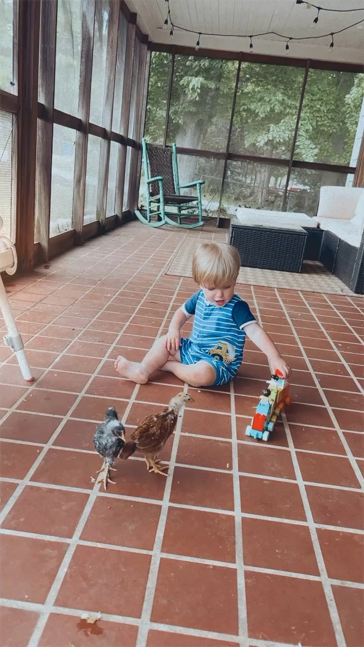 Pure joy 👼🏼🐥🫶🏽🌾🐣 #judsonandhischickadees 💛💛💛💛💛💛💛💛

#LTKbaby #LTKfamily #LTKhome