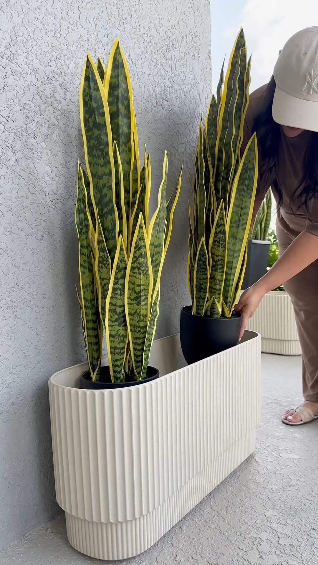 Pretty fluted planters 🫶😍




Home
Outdoor home
Outdoor patio planters
Summer outdoor 
Home decor 
Viral fluted planter

#LTKSaleAlert #LTKHome #LTKvlog