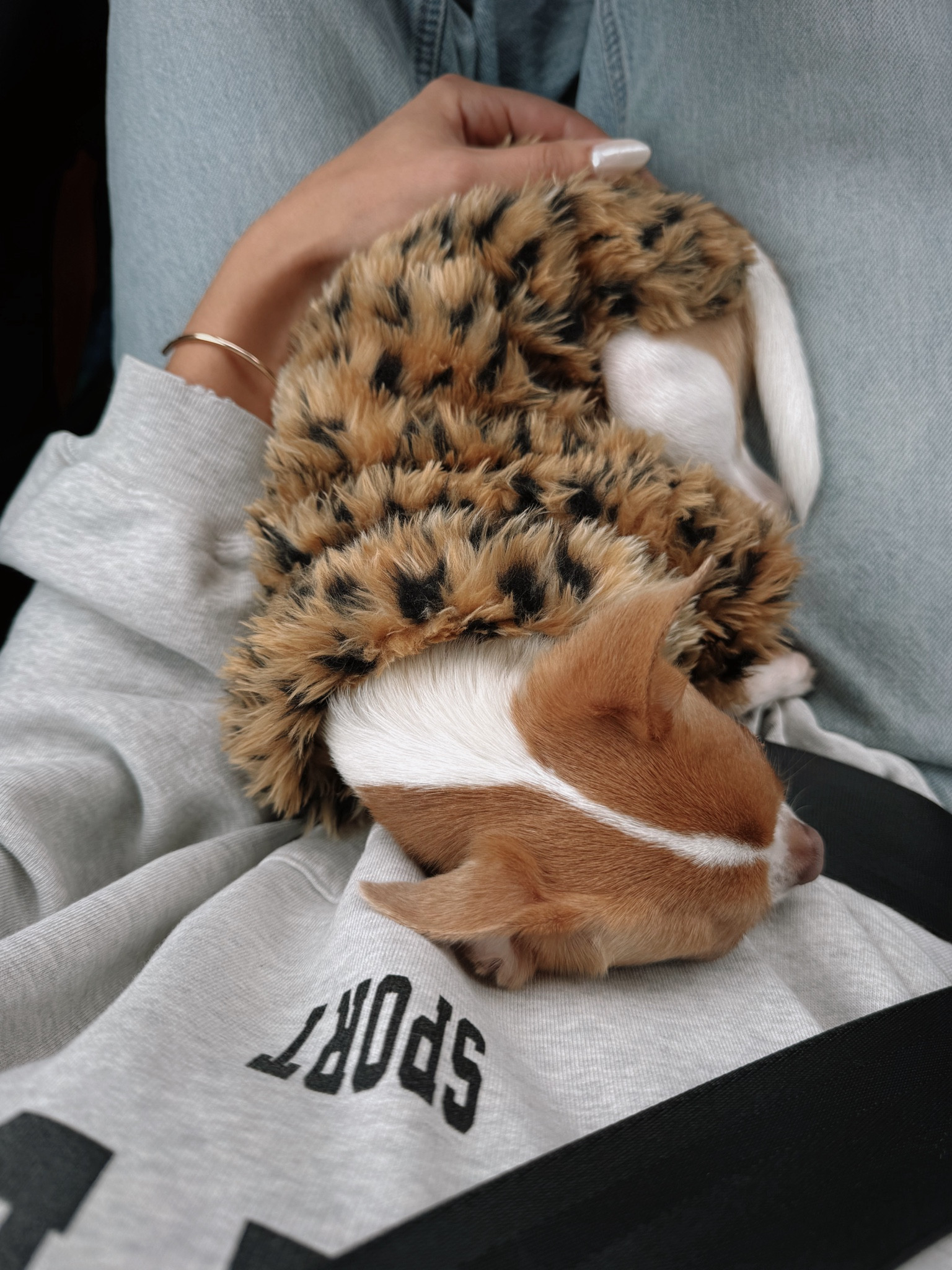 Mr. Bean is 4lbs and wears a size small 🥰

#LTKfamily #LTKkids #LTKstyletip