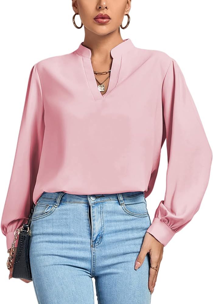 LYANER Women's V Neck Shirred Long Sleeve Office Elegant Tunic Blouse Top | Amazon (US)